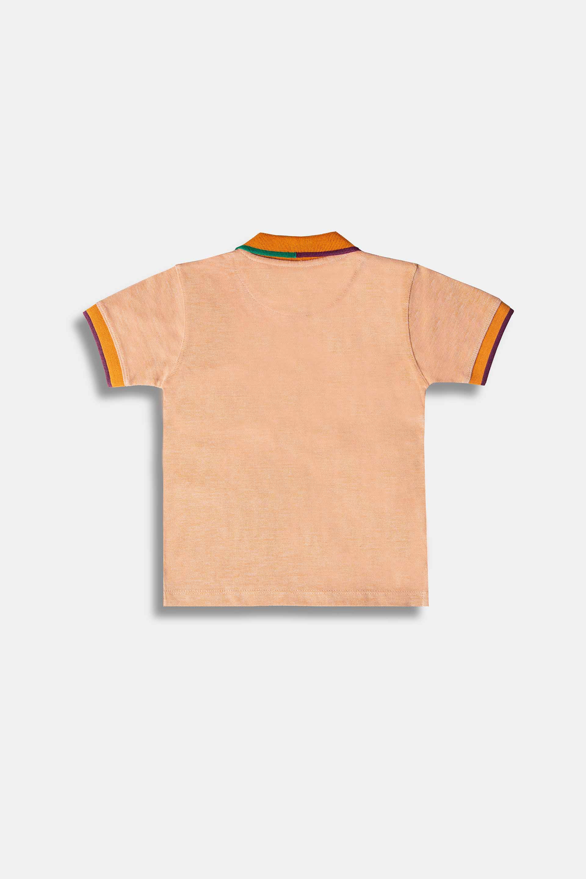 Logo Polo - Image 2