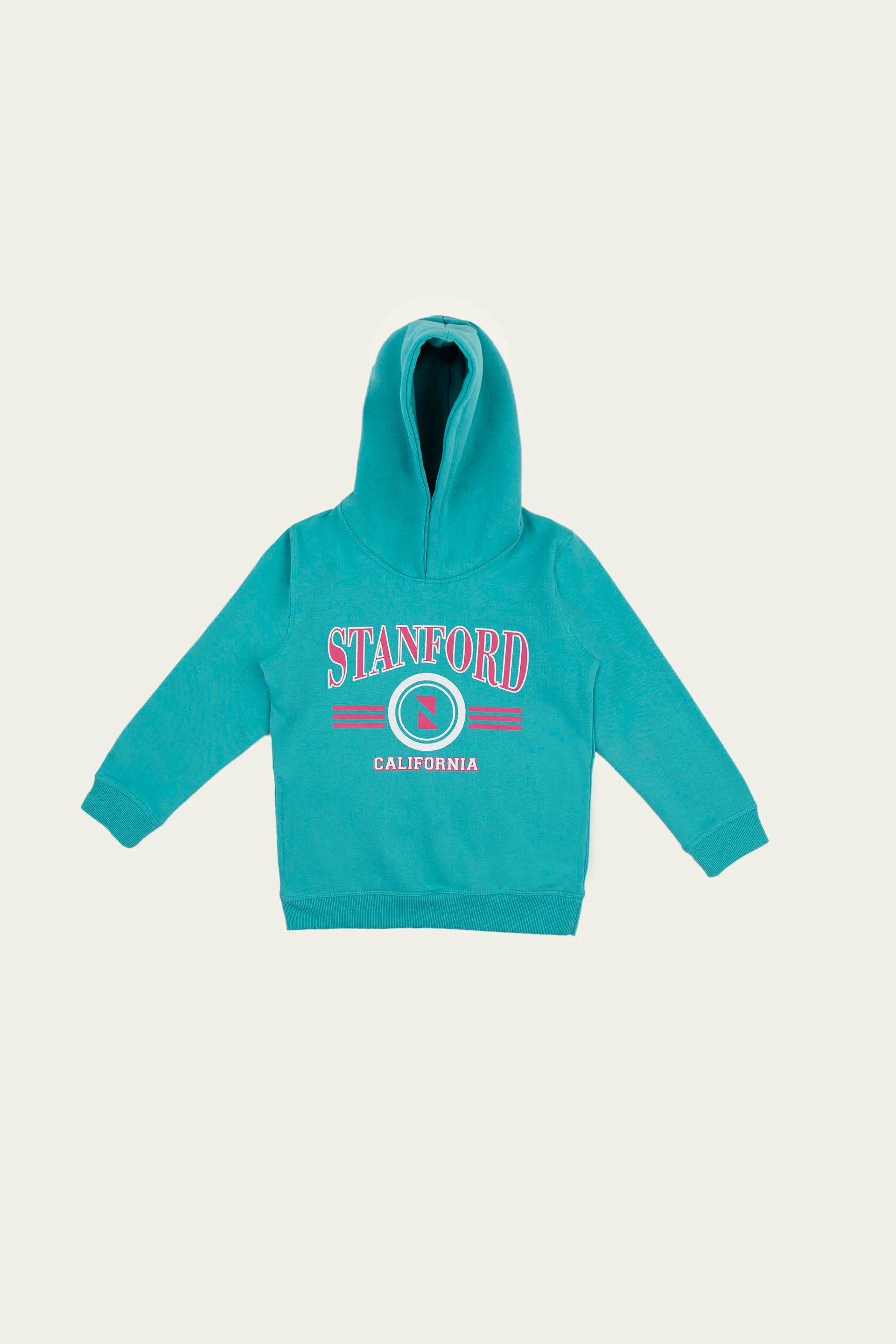 College Pullover Hoodie Blue - Image 5