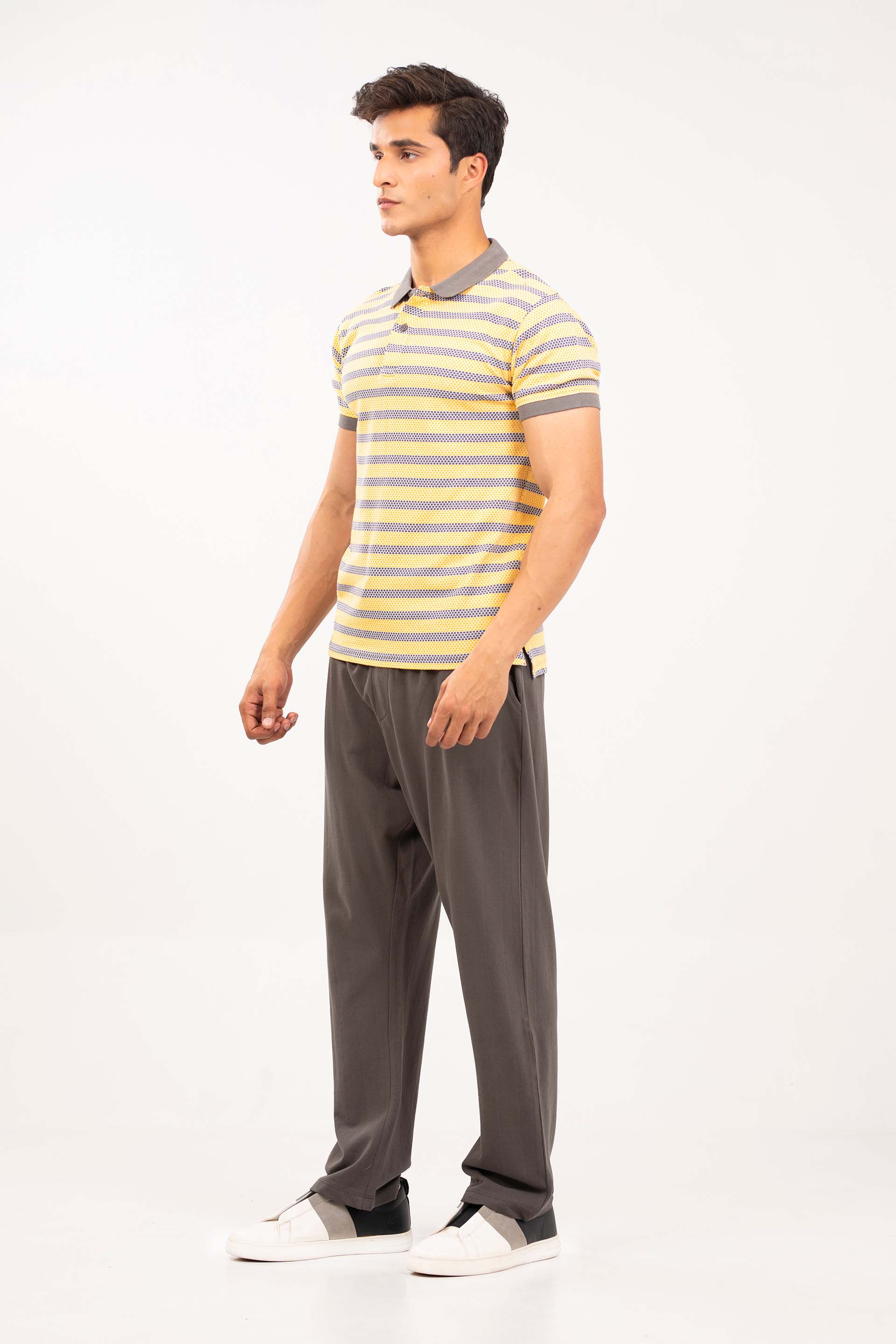 Printed Stripe Polo - Image 4