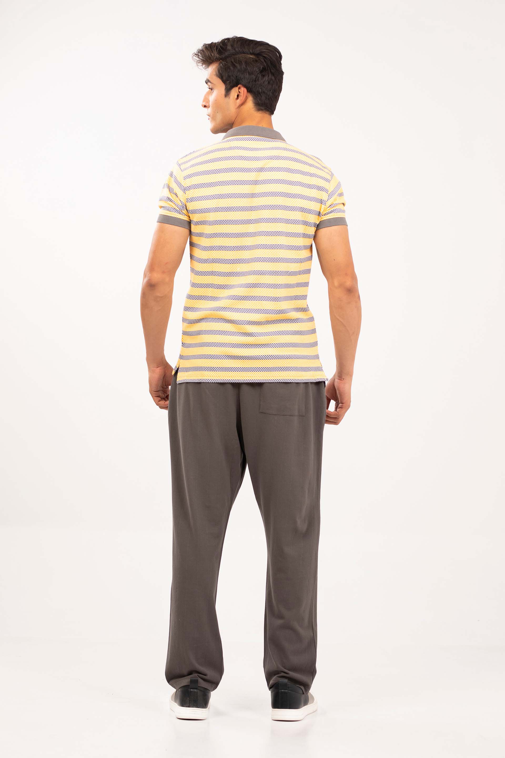 Printed Stripe Polo - Image 5